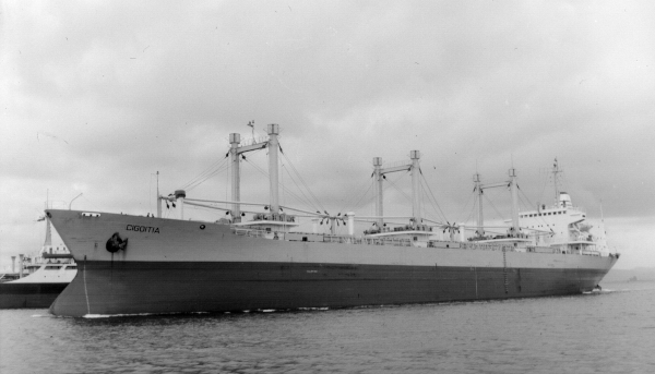 Cigoitia por F. Estrañi Cigoitia por F. Estrañi